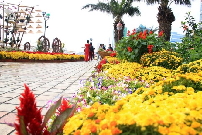 Bạn trẻ hào hứng, tạo dáng bên đường hoa Đà Nẵng - ảnh 18